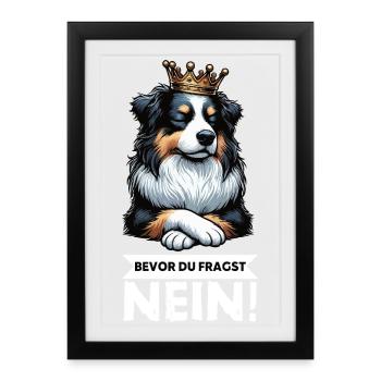 Avant que vous ne demandiez : Berger australien Aussie Aussie - Affiche encadrée (27 × 37 cm) - noir - Devant