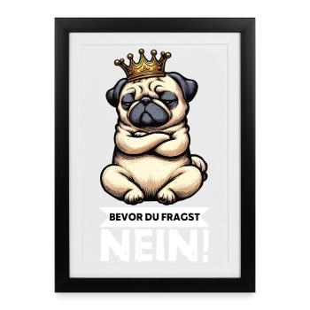 Before you ask Pug Pugs Pug Owner Pug Holder - Framed poster (27 × 37 cm) - black - Front