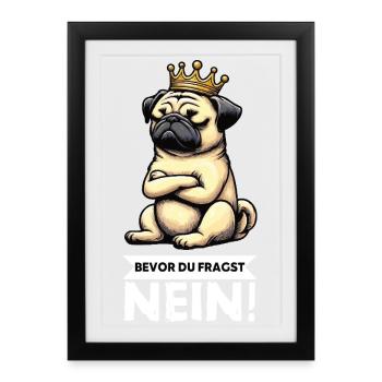 Before you ask Pug Pugs Pug Owner Pug Holder - Framed poster (27 × 37 cm) - black - Front