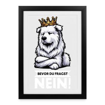 Before you ask: White Shepherd Shepherd - Framed poster (27 × 37 cm) - black - Front