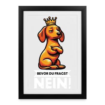 Avant que vous ne demandiez : teckel, propriétaire de teckel, propriétaire de teckel - Affiche encadrée (27 × 37 cm) - noir - Devant