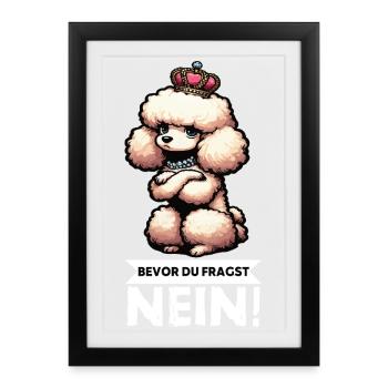 Avant de demander un Caniche Propriétaire de Caniche Chien - Affiche encadrée (27 × 37 cm) - noir - Devant