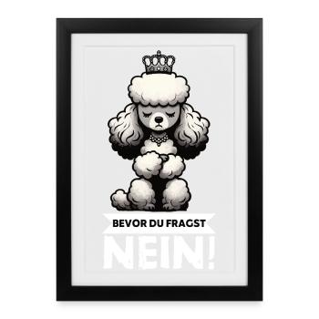 Avant de demander un Caniche Propriétaire de Caniche Chien - Affiche encadrée (27 × 37 cm) - noir - Devant