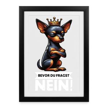 Avant de demander à Miniature Pinscher Pinscher Pinscher Fan - Affiche encadrée (27 × 37 cm) - noir - Devant