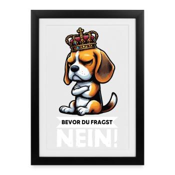 Avant que vous ne demandiez : Beagle Beagle Propriétaire de Beagle Holder - Affiche encadrée (27 × 37 cm) - noir - Devant