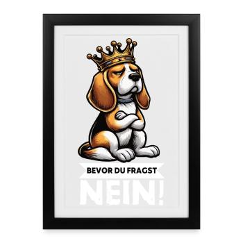 Avant que vous ne demandiez : Beagle Beagle Propriétaire de Beagle Holder - Affiche encadrée (27 × 37 cm) - noir - Devant