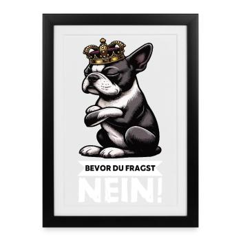 Avant de demander Boston Boston Boston Terrier Bostie Bosti - Affiche encadrée (27 × 37 cm) - noir - Devant