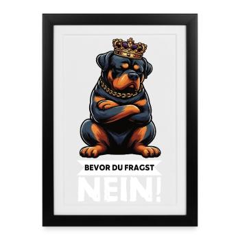 Avant que vous ne demandiez, pas de Rottweiler propriétaire de rottweiler - Affiche encadrée (27 × 37 cm) - noir - Devant