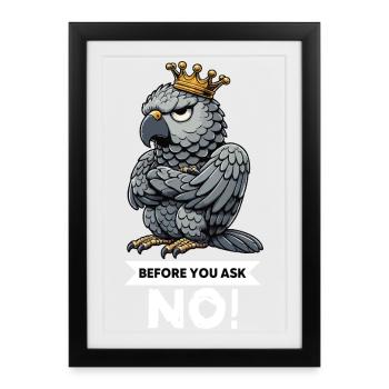 Before You Ask African Grey Parrot Parrot Parrot Holder - Framed poster (27 × 37 cm) - black - Front