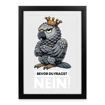 Avant que vous ne demandiez : pas de perroquet gris d’Afrique, perroquet, perroquet, perroquet, perroquet - Affiche encadrée (27 × 37 cm) - noir - Devant