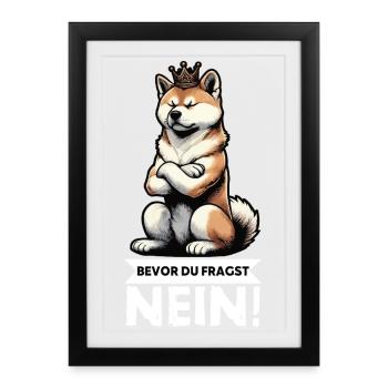 Before you ask No Akita AkitaOwner Akitas - Framed poster (27 × 37 cm) - black - Front