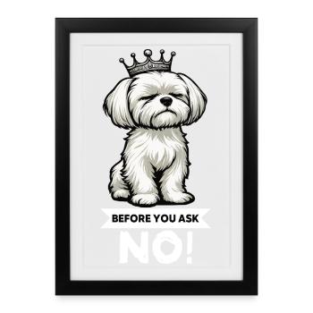 Avant de demander à Malteser Propriétaires Maltais Maltais - Affiche encadrée (27 × 37 cm) - noir - Devant