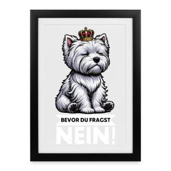 Avant que vous ne demandiez, pas de Westie Westland Terrier - Affiche encadrée (27 × 37 cm) - noir - Devant