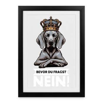 Avant que vous ne demandiez : pas de propriétaire de Weimaraner Weimaraner - Affiche encadrée (27 × 37 cm) - noir - Devant