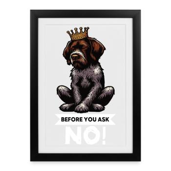 Before You Ask German Wirehaired Wire Hair Holder - Framed poster (27 × 37 cm) - black - Front