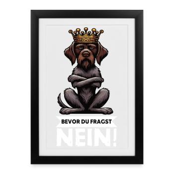Bevor Du Fragst Nein Deutsch Drahthaar Drahthaare  - Gerahmtes Poster (27 × 37 cm) - Schwarz - Vorne