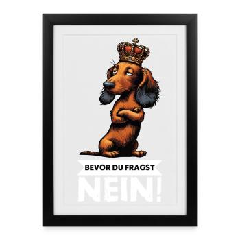 Bevor Du Fragst Nein Langhaardackel Dackel Teckel - Gerahmtes Poster (27 × 37 cm) - Schwarz - Vorne