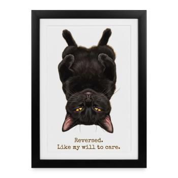 Reversed Will To Care Cat - Framed poster (27 × 37 cm) - black - Front