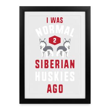 Siberian Husky - Framed poster (27 × 37 cm) - black - Front