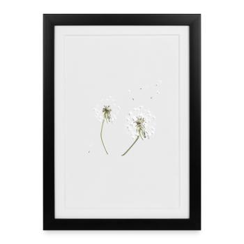 White dandelion silhouette - Framed poster (27 × 37 cm) - black - Front