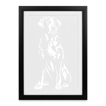 Grand Bouvier Suisse « Black Edition » - Affiche encadrée (27 × 37 cm) - noir - Devant