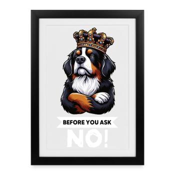 Avant de demander les chiens de montagne bernois - Affiche encadrée (27 × 37 cm) - noir - Devant