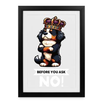 Avant de demander les chiens de montagne bernois - Affiche encadrée (27 × 37 cm) - noir - Devant
