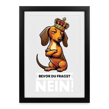 Avant que vous ne demandiez : teckel, propriétaire de teckel, propriétaire de teckel - Affiche encadrée (27 × 37 cm) - noir - Devant