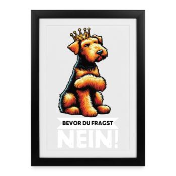 Avant que vous ne demandiez : Airedale Terrier Airedales - Affiche encadrée (27 × 37 cm) - noir - Devant