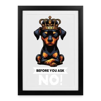 Avant de demander à un chien miniature pinscher pinscher - Affiche encadrée (27 × 37 cm) - noir - Devant