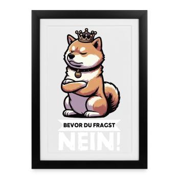 Avant que tu ne demandes à Shiba Inu Shiba Shiba Inus, propriétaire de Shiba Inus - Affiche encadrée (27 × 37 cm) - noir - Devant