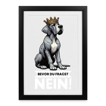 Avant que vous ne demandiez à la propriétaire de Dogue Allemand - Affiche encadrée (27 × 37 cm) - noir - Devant
