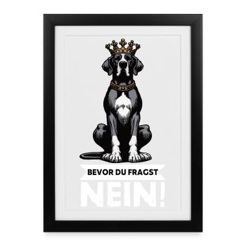 Avant que vous ne demandiez à la propriétaire de Dogue Allemand - Affiche encadrée (27 × 37 cm) - noir - Devant