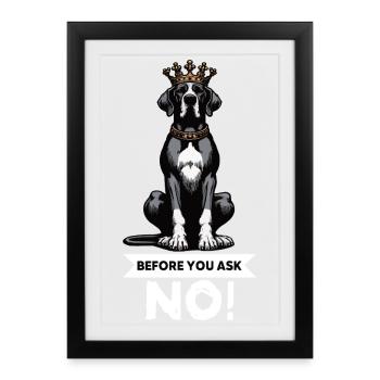 Avant de demander à un grand dogue grand dogue propriétaire de dogue allemand - Affiche encadrée (27 × 37 cm) - noir - Devant