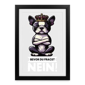 Avant de demander Boston Boston Boston Terrier Bostie Bosti - Affiche encadrée (27 × 37 cm) - noir - Devant