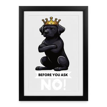 Avant de demander à Labrador Labrador Labrador Propriétaire Labrador - Affiche encadrée (27 × 37 cm) - noir - Devant