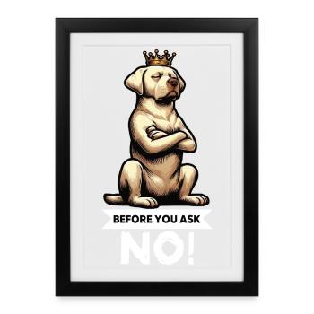 Avant de demander à Labrador Labrador Labrador Propriétaire Labrador - Affiche encadrée (27 × 37 cm) - noir - Devant