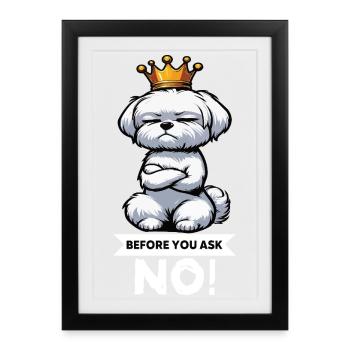 Avant de demander à Malteser Propriétaires Maltais Maltais - Affiche encadrée (27 × 37 cm) - noir - Devant