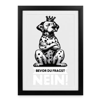 Avant que tu ne demandes, pas de Dalmatien Dalmatien Gardien Dalmatien - Affiche encadrée (27 × 37 cm) - noir - Devant
