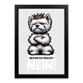 Avant que vous ne demandiez, pas de Westie Westland Terrier - Affiche encadrée (27 × 37 cm) - noir - Devant