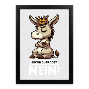 Avant que vous ne demandiez Pas d’âne Porte-âne Âne - Affiche encadrée (27 × 37 cm) - noir - Devant