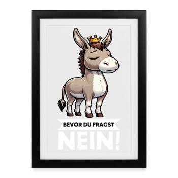 Avant que vous ne demandiez Pas d’âne Porte-âne Âne - Affiche encadrée (27 × 37 cm) - noir - Devant