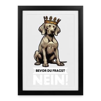 Avant que vous ne demandiez : pas de propriétaire de Weimaraner Weimaraner - Affiche encadrée (27 × 37 cm) - noir - Devant