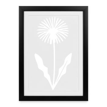 Fleurs de pissenlit Fleurs fleur Fleurs sauvages Herbes - Affiche encadrée (27 × 37 cm) - noir - Devant