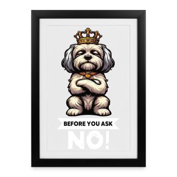 Avant de demander Havanese Havanese Keepers Havanese - Affiche encadrée (27 × 37 cm) - noir - Devant