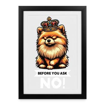 Avant de demander Poméranie, Poméranie, Poméranie, chien Spitz Poméranie. - Affiche encadrée (27 × 37 cm) - noir - Devant