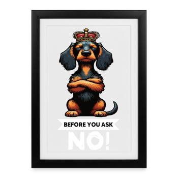Avant de demander teckel à poils forts teckel - Affiche encadrée (27 × 37 cm) - noir - Devant