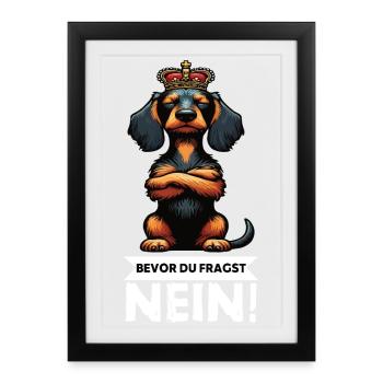 Bevor Du Fragst Nein Rauhaardackel Dackel Teckel - Gerahmtes Poster (27 × 37 cm) - Schwarz - Vorne