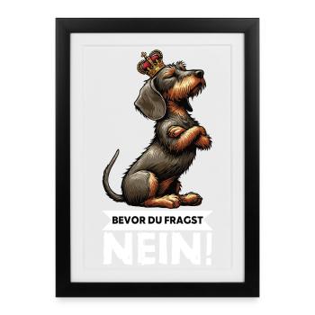 Bevor Du Fragst Nein Rauhaardackel Dackel Teckel - Gerahmtes Poster (27 × 37 cm) - Schwarz - Vorne