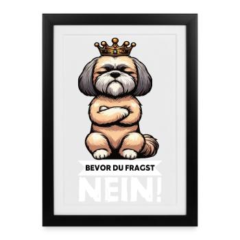Bevor Du Fragst Nein Shih tzu Shih tzus Shih  - Gerahmtes Poster (27 × 37 cm) - Schwarz - Vorne